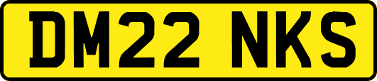 DM22NKS
