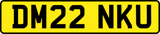 DM22NKU
