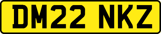 DM22NKZ