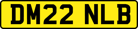 DM22NLB