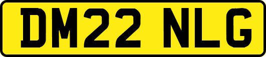 DM22NLG