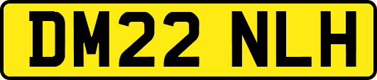 DM22NLH