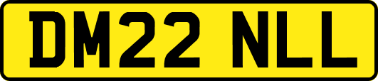 DM22NLL