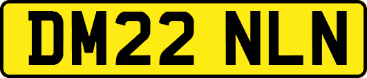 DM22NLN