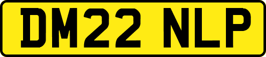 DM22NLP