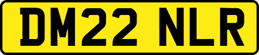 DM22NLR