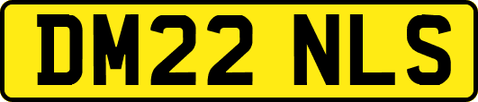DM22NLS