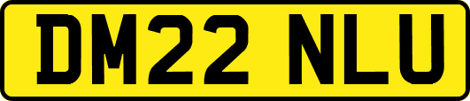 DM22NLU
