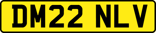 DM22NLV