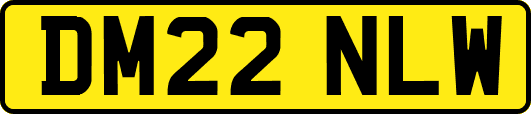 DM22NLW