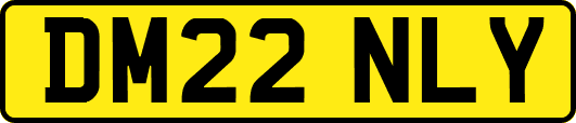 DM22NLY