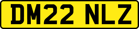 DM22NLZ