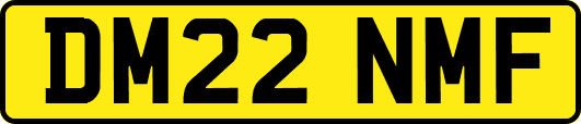 DM22NMF