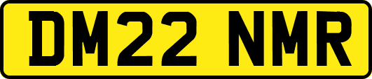 DM22NMR