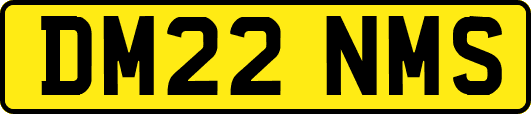 DM22NMS