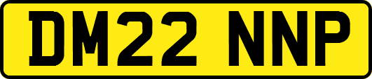 DM22NNP