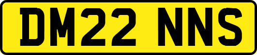DM22NNS