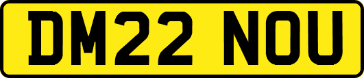 DM22NOU