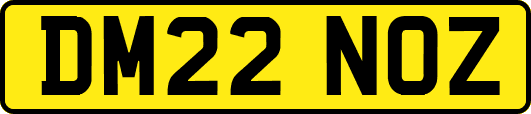 DM22NOZ