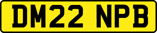DM22NPB