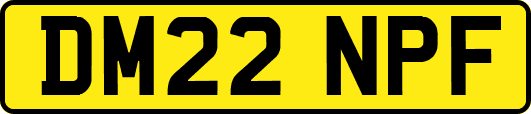 DM22NPF