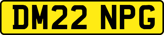 DM22NPG