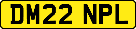 DM22NPL