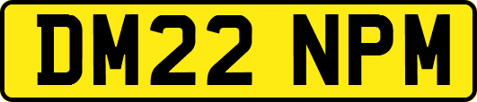 DM22NPM