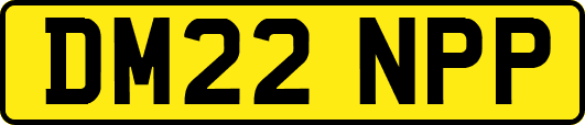 DM22NPP