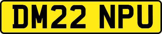 DM22NPU