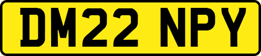 DM22NPY