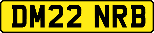 DM22NRB