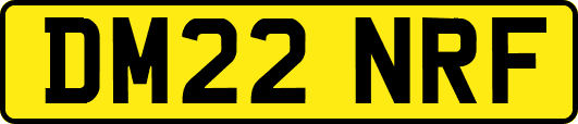 DM22NRF