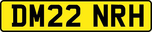 DM22NRH