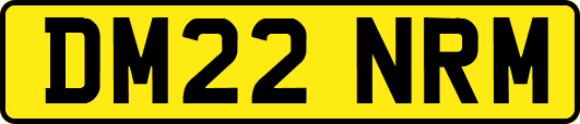 DM22NRM