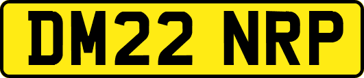 DM22NRP
