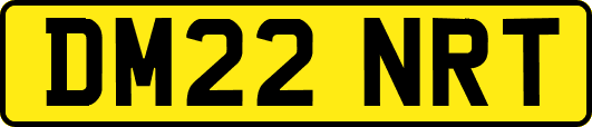 DM22NRT