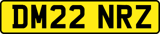 DM22NRZ