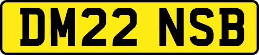 DM22NSB