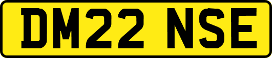 DM22NSE