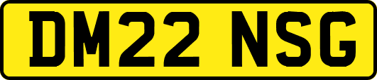 DM22NSG