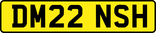 DM22NSH