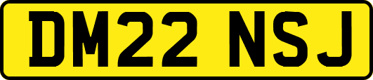 DM22NSJ