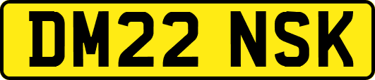 DM22NSK