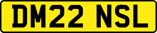 DM22NSL