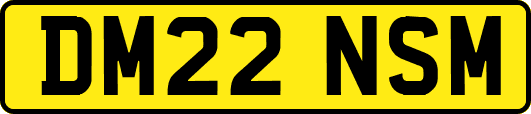 DM22NSM