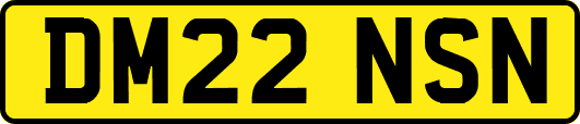 DM22NSN