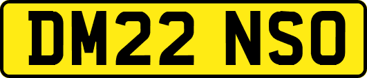 DM22NSO