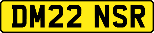 DM22NSR
