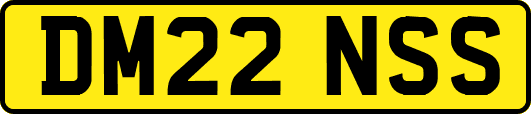 DM22NSS